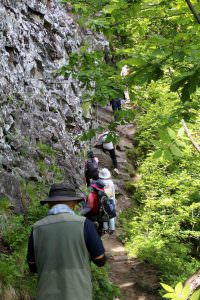 27.6.19 岩場に列を成す登山者