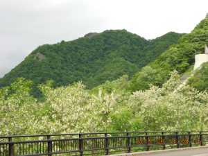 27.6.13砥山橋からの八剣山