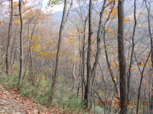 27.10.24登山道