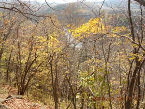 27.10.29登山道